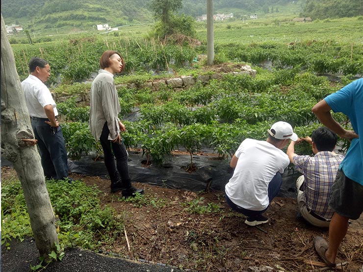 Z6·尊龙凯时(中国区)人生就是搏!