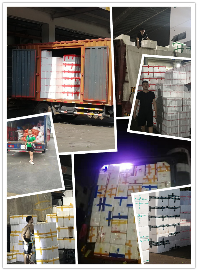 Z6·尊龙凯时(中国区)人生就是搏!