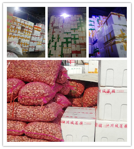 Z6·尊龙凯时(中国区)人生就是搏!