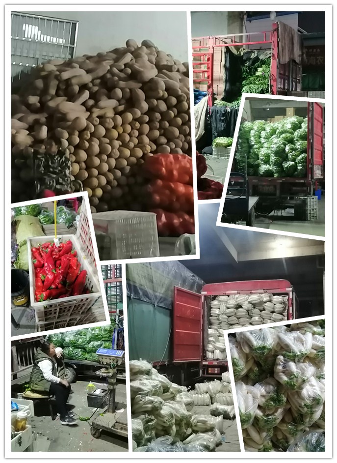 Z6·尊龙凯时(中国区)人生就是搏!