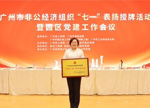 标杆引领，荣誉升级！集团党支部荣膺广州市非公有造经济组织“双强六好”标