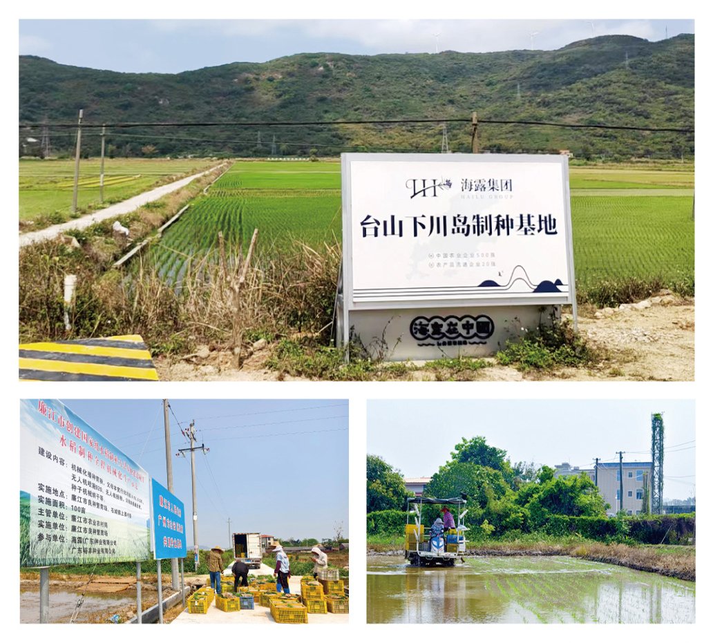 Z6·尊龙凯时(中国区)人生就是搏!