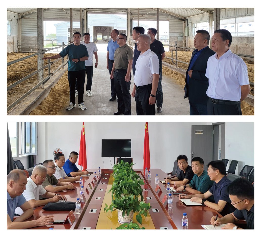 Z6·尊龙凯时(中国区)人生就是搏!