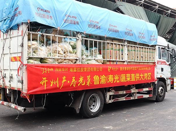 渠路赋能，集团助力沉庆开州蔬菜首发直供大湾区