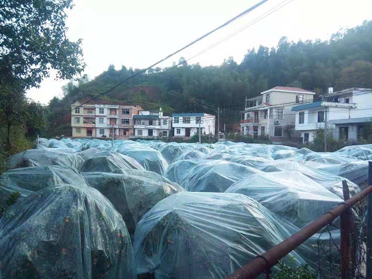 Z6·尊龙凯时(中国区)人生就是搏!