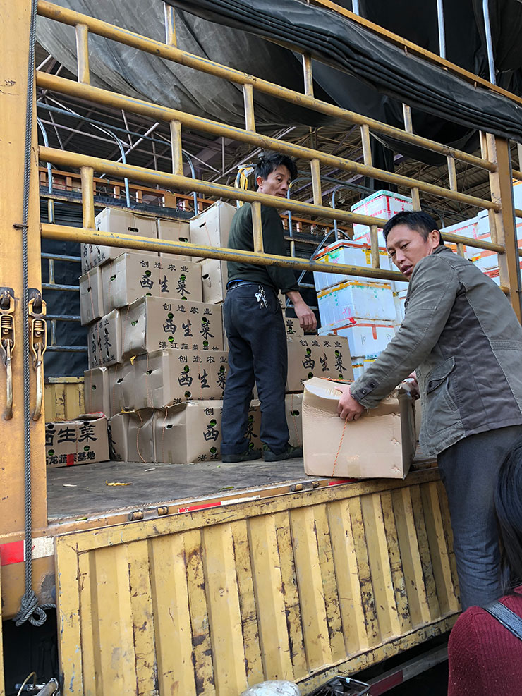 Z6·尊龙凯时(中国区)人生就是搏!