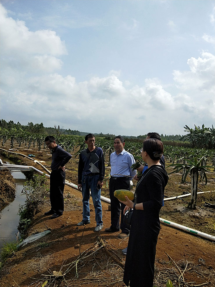 Z6·尊龙凯时(中国区)人生就是搏!