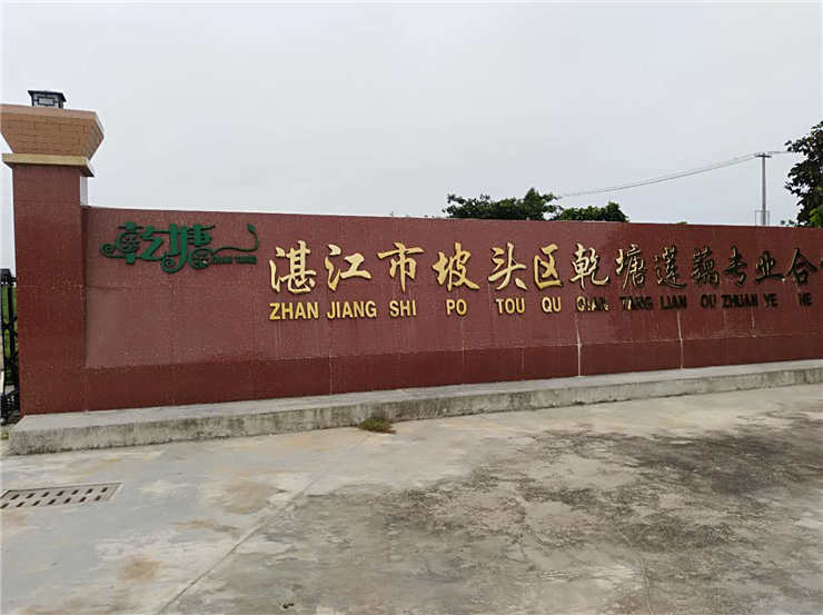 Z6·尊龙凯时(中国区)人生就是搏!