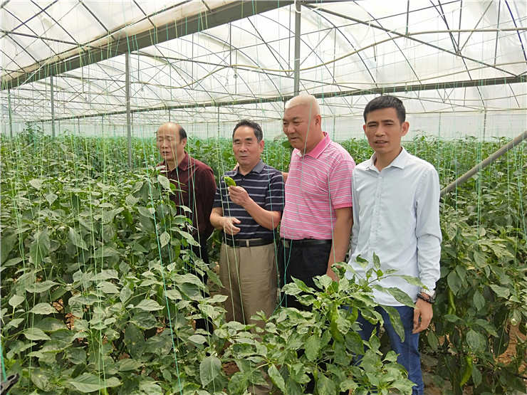 Z6·尊龙凯时(中国区)人生就是搏!