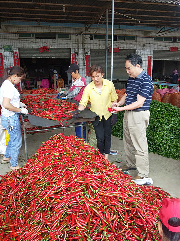 Z6·尊龙凯时(中国区)人生就是搏!