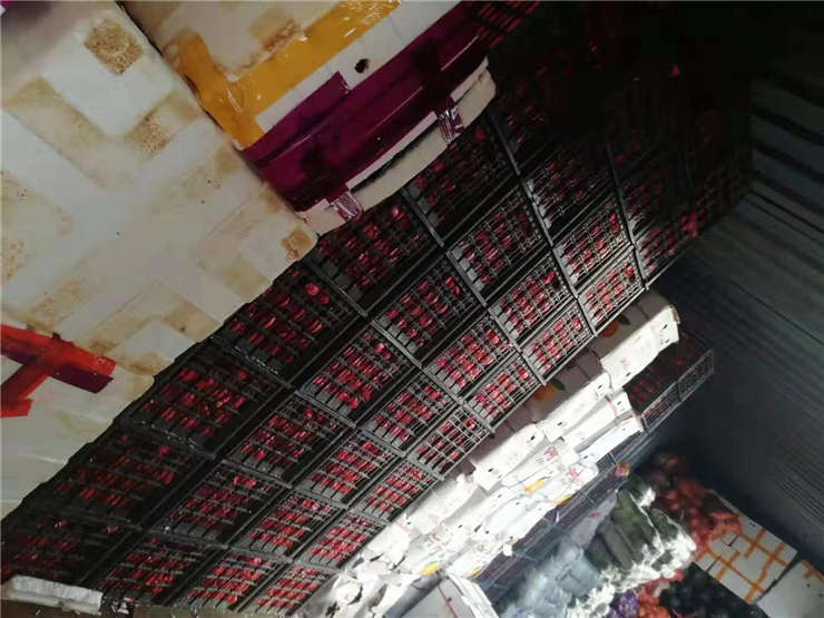 Z6·尊龙凯时(中国区)人生就是搏!