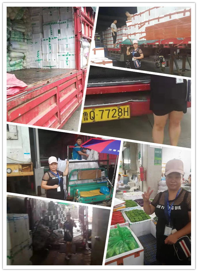 Z6·尊龙凯时(中国区)人生就是搏!