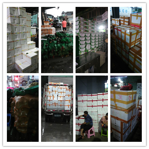 Z6·尊龙凯时(中国区)人生就是搏!