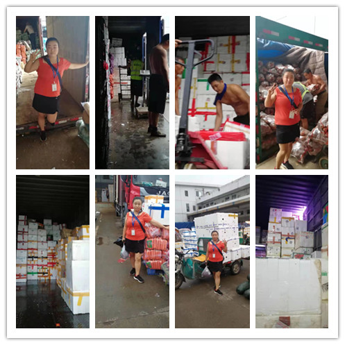 Z6·尊龙凯时(中国区)人生就是搏!