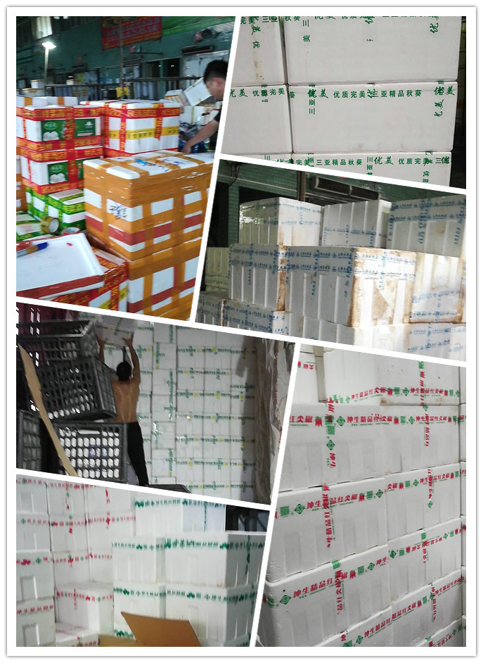 Z6·尊龙凯时(中国区)人生就是搏!