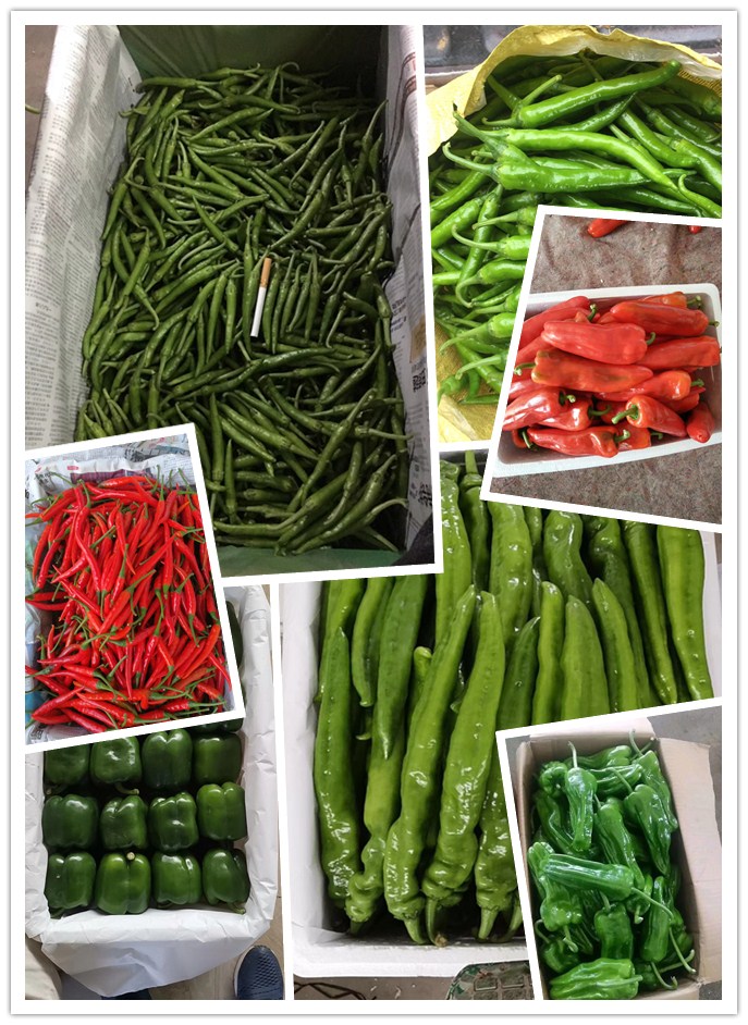 Z6·尊龙凯时(中国区)人生就是搏!