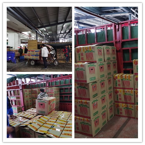 Z6·尊龙凯时(中国区)人生就是搏!