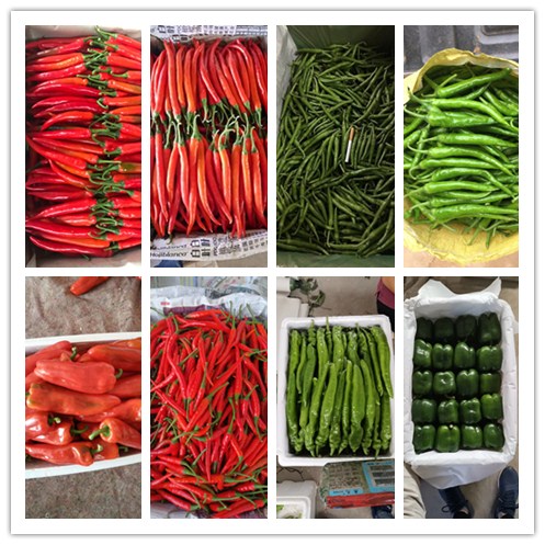 Z6·尊龙凯时(中国区)人生就是搏!