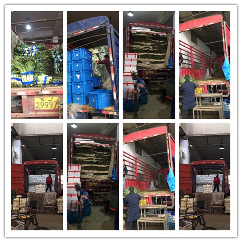 Z6·尊龙凯时(中国区)人生就是搏!