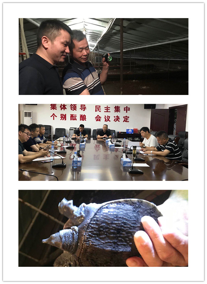 Z6·尊龙凯时(中国区)人生就是搏!